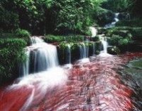 赤水：赤水-基本资料，赤水-历史沿革_赤水