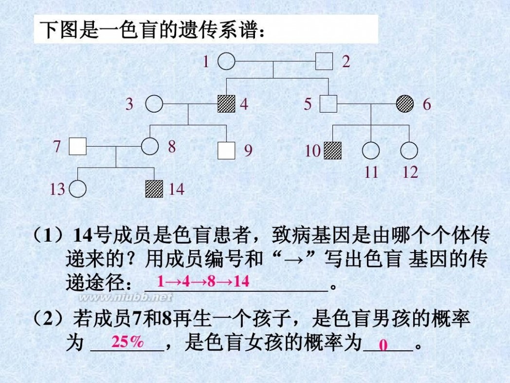 遗传病 人类遗传病