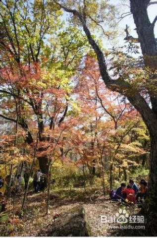 横头山 横头山一日游攻略