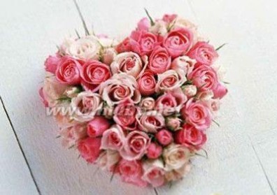 情人节玫瑰花物语:颜色和数量的含义_送玫瑰花数量的含义