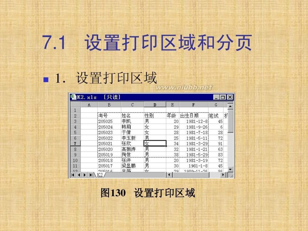 excel2003教程 EXCEL2003教程(完整版)_教案