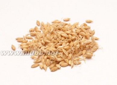 生麦芽的作用 生麦芽的常见功效到底有哪些