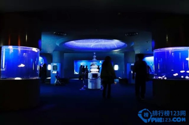 世界上最大的水族馆 日本最值得去的十大水族馆