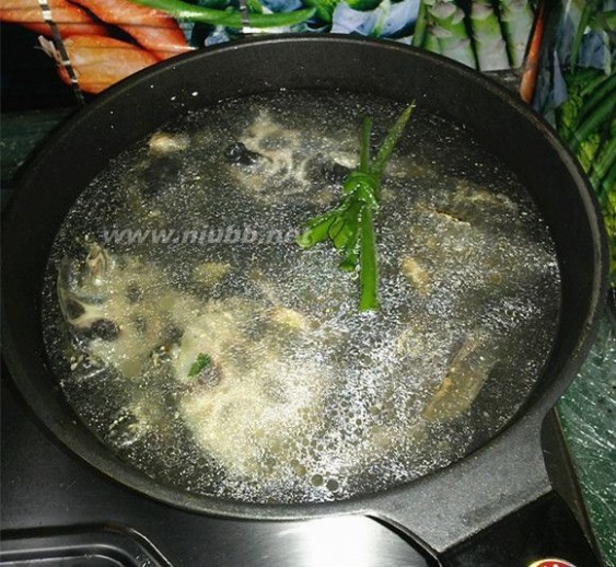 野生甲鱼 野生甲鱼汤的做法,野生甲鱼汤怎么做好吃,野生甲鱼汤的家常做法