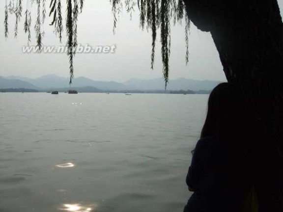 西湖最盛 为春为月 2013年国庆 西湖以及路边的风景（组图）