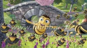 一只小蜜蜂 《一只小蜜蜂》：《一只小蜜蜂》-简介，《一只小蜜蜂》-剧情介绍