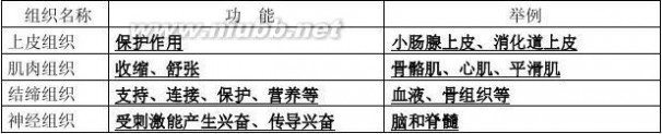 七年级生物上册复习提纲 人教版生物七年级上册复习提纲