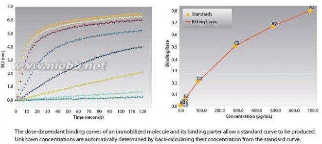 fortebio Octet中文手册[1]