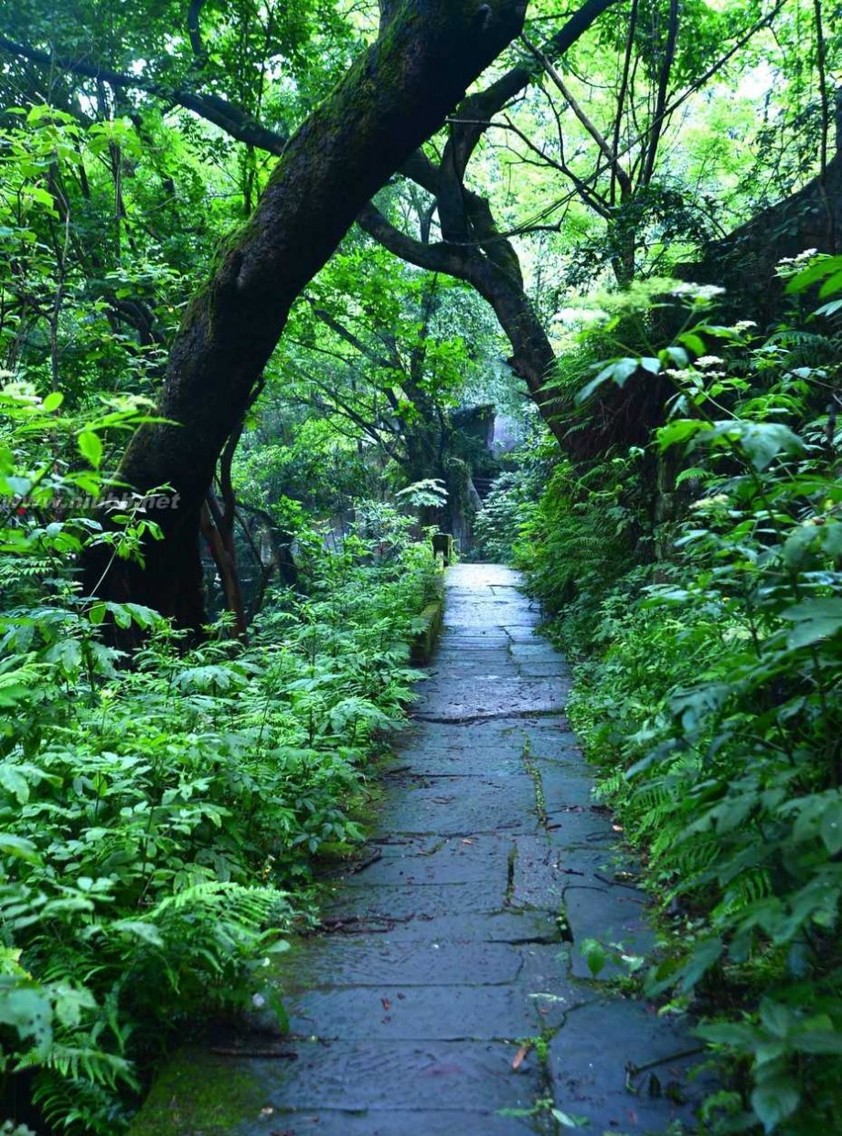 惊雀 【重庆风情】——消逝的金刚碑