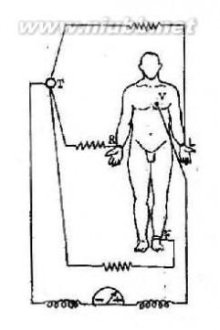 心电图导联位置 心电图导联及心电轴