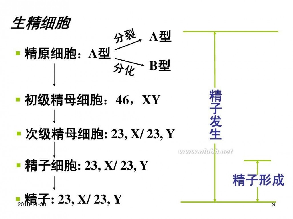 男性生殖保健 9男性生殖保健