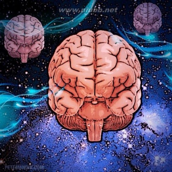 玻尔兹曼大脑：我们的世界是真实的吗？_科学松鼠会官网