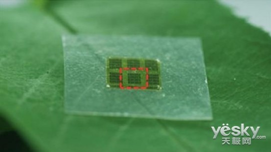 科学家研制出可降解的木头材质计算机芯片