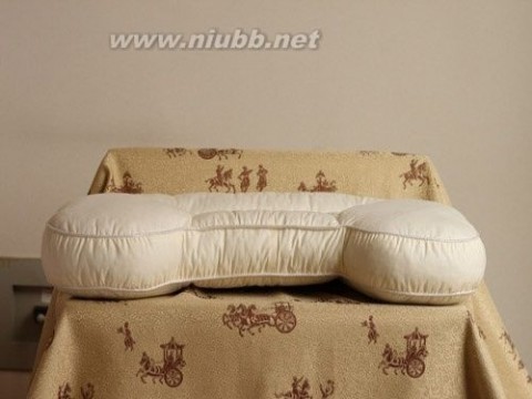 治疗失眠的枕头有哪些,失眠用什么枕头_治疗失眠的枕头