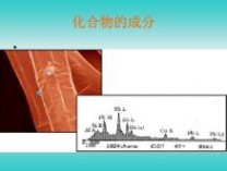 扫描电子显微镜 扫描电子显微镜与透射电子显微镜