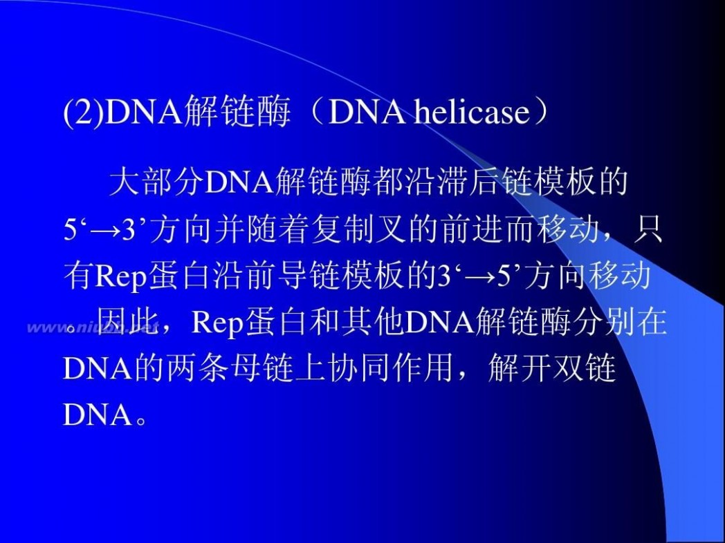 分子生物学课件 现代分子生物学课件-第二章