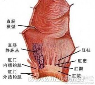 肛裂怎么治疗 如何治疗肛裂？