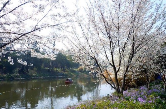 南京 温泉 南京泡温泉哪里好，南京泡温泉的地方有哪些