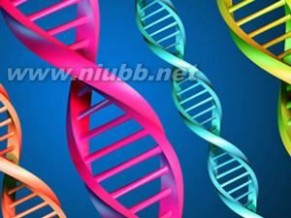 人类基因组计划：人类基因组计划-简介，人类基因组计划-研究内容_人类基因组计划中国