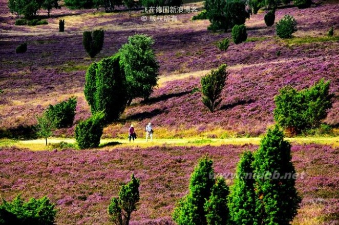 【布拉格二】布拉格城堡，看尽繁华一千年