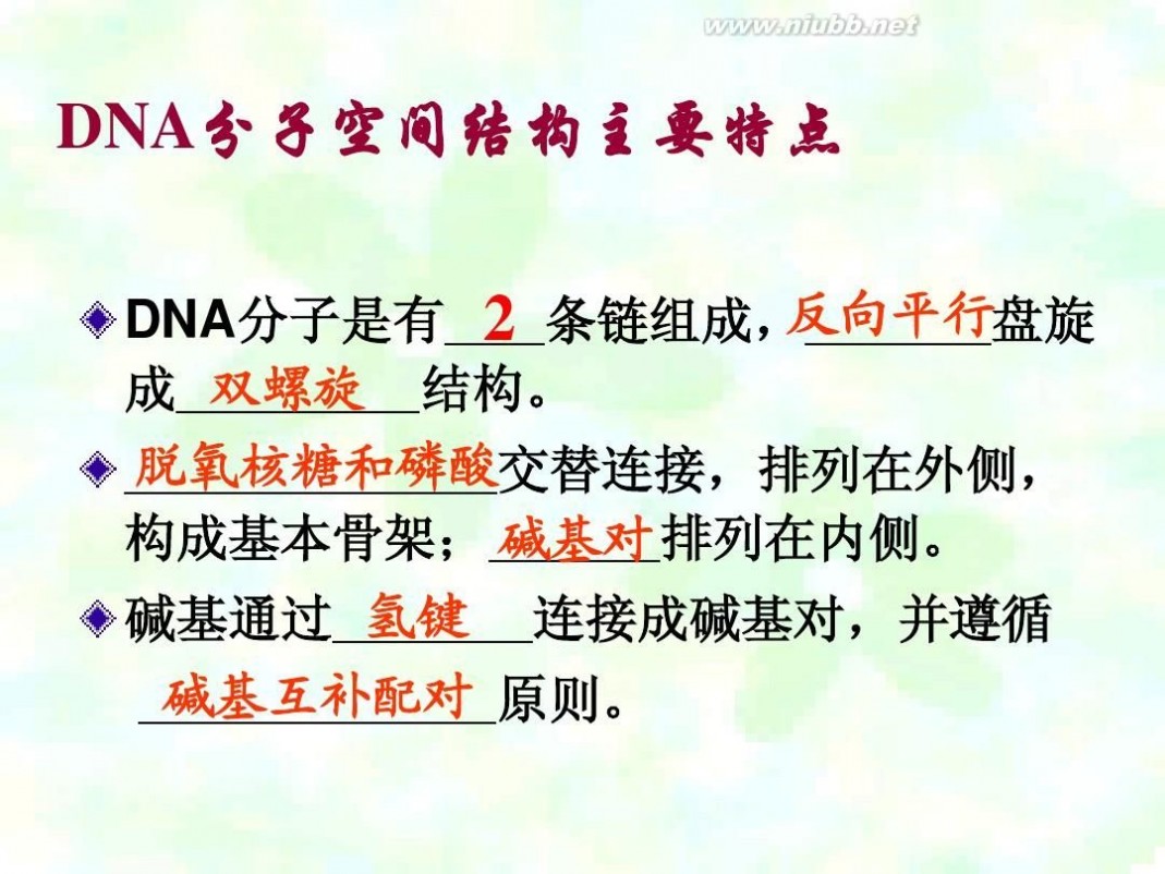 dna分子的结构ppt DNA分子的结构与复制(一轮复习)
