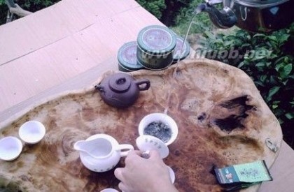 绿茶茶艺表演的基本程序_绿茶茶艺表演