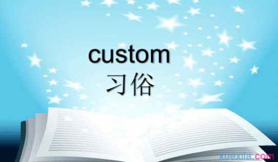 custom什么意思 custom是什么意思 custom的英文意思