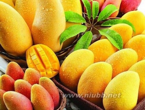 吃芒果的好处 常吃芒果的一些好处以及禁忌