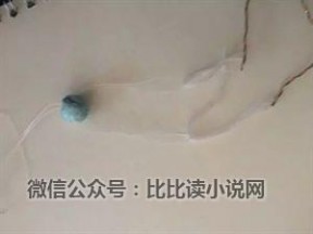 串换 手把手教给您“菩提串珠换绳大法”