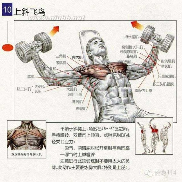胸肌锻炼方法 胸肌锻炼方法大全