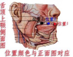 真气运行 《真气运行法精粹篇》全文在线阅读及txt下载