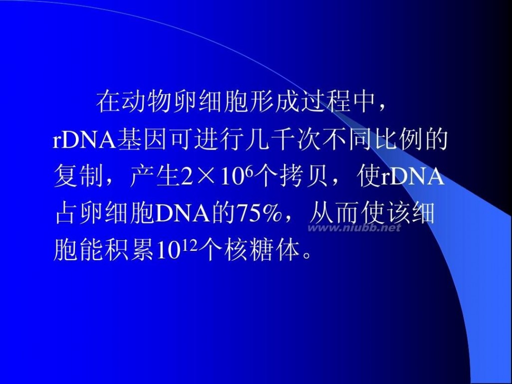 分子生物学课件 现代分子生物学课件-第二章