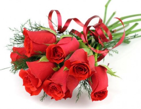 红玫瑰代表什么 红玫瑰多少钱一朵，红玫瑰和粉玫瑰的区别，红玫瑰花代表什么