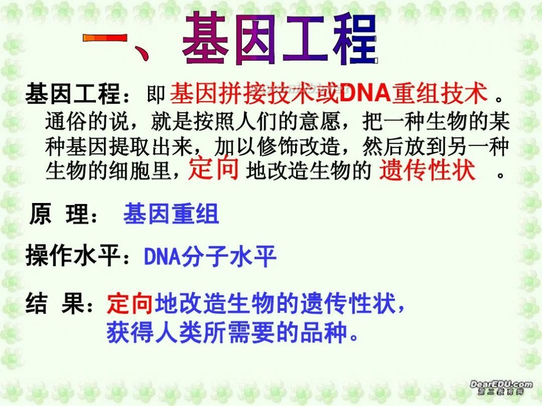 基因工程及其应用 基因工程及其应用课件