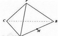 正四面体 正四面体：正四面体-概念简介，正四面体-正三棱锥