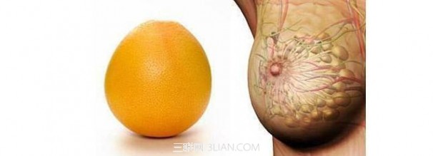  原来对乳房最好的食物是葡萄柚！