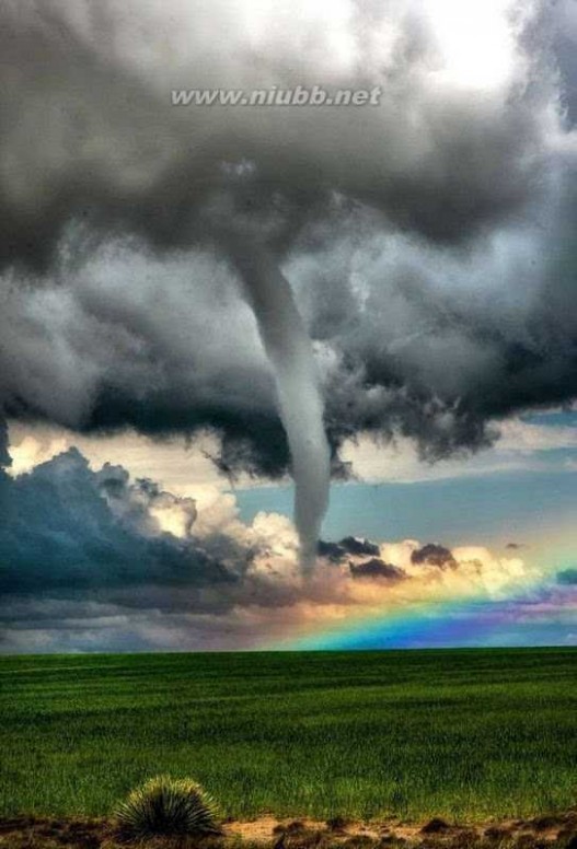 彩虹与龙卷风同现 美国“风暴追逐者”父子拍下彩虹与龙卷风同现奇观