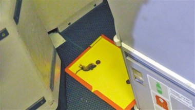 小老鼠飞机偷食被发现 遭200块粘鼠板围剿