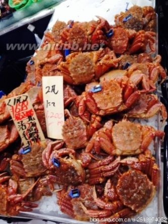 特价买回毛螃蟹与北海道红毛螃蟹的“名人”吃法图解
