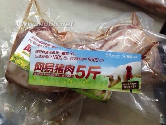 网易猪肉 网易猪肉 1.0 测试版发布