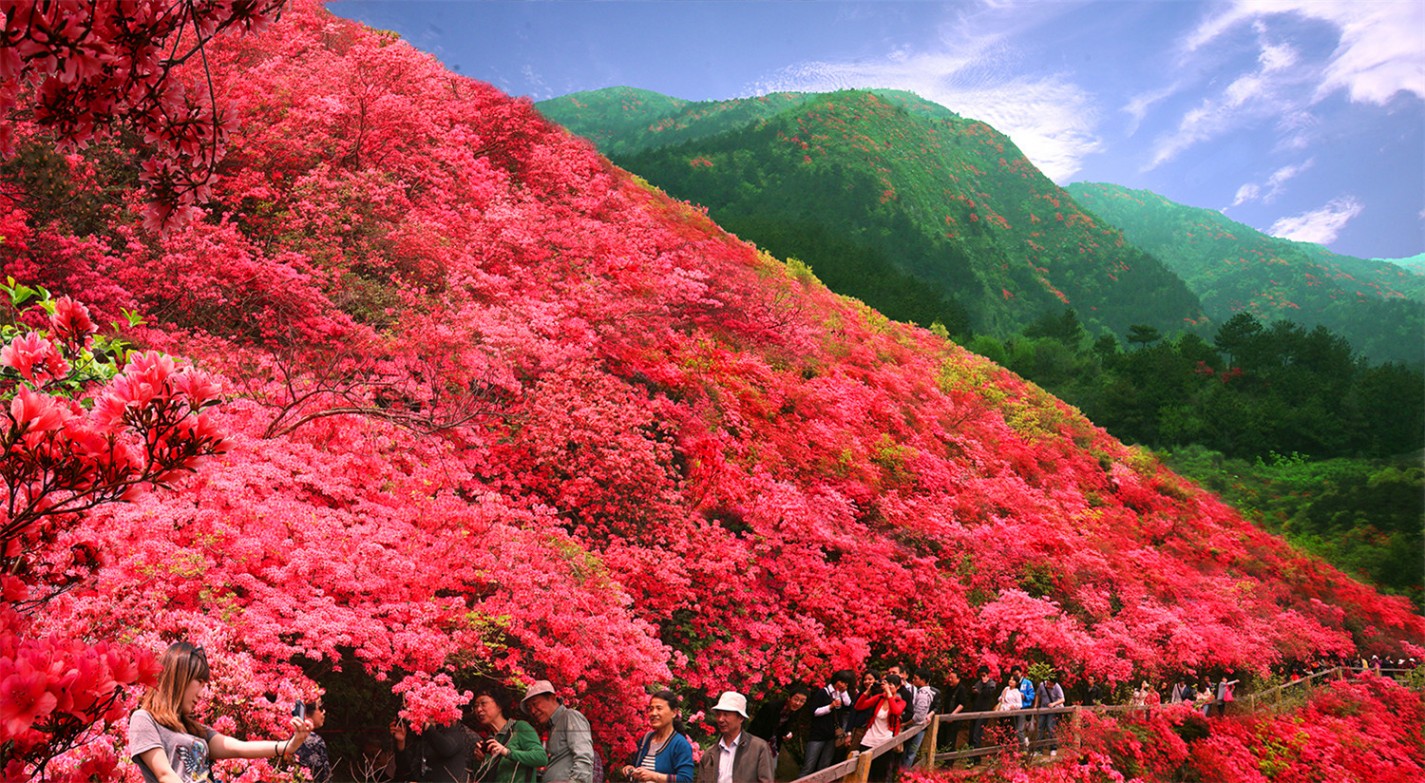 武汉云雾山一日游攻略