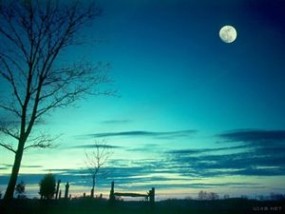关于月亮的歌 与月亮有关的歌曲（1-5）