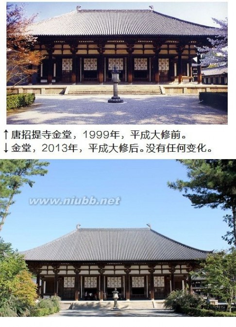 日本的古建筑，看上去一点都不「古」，特新 古代建筑
