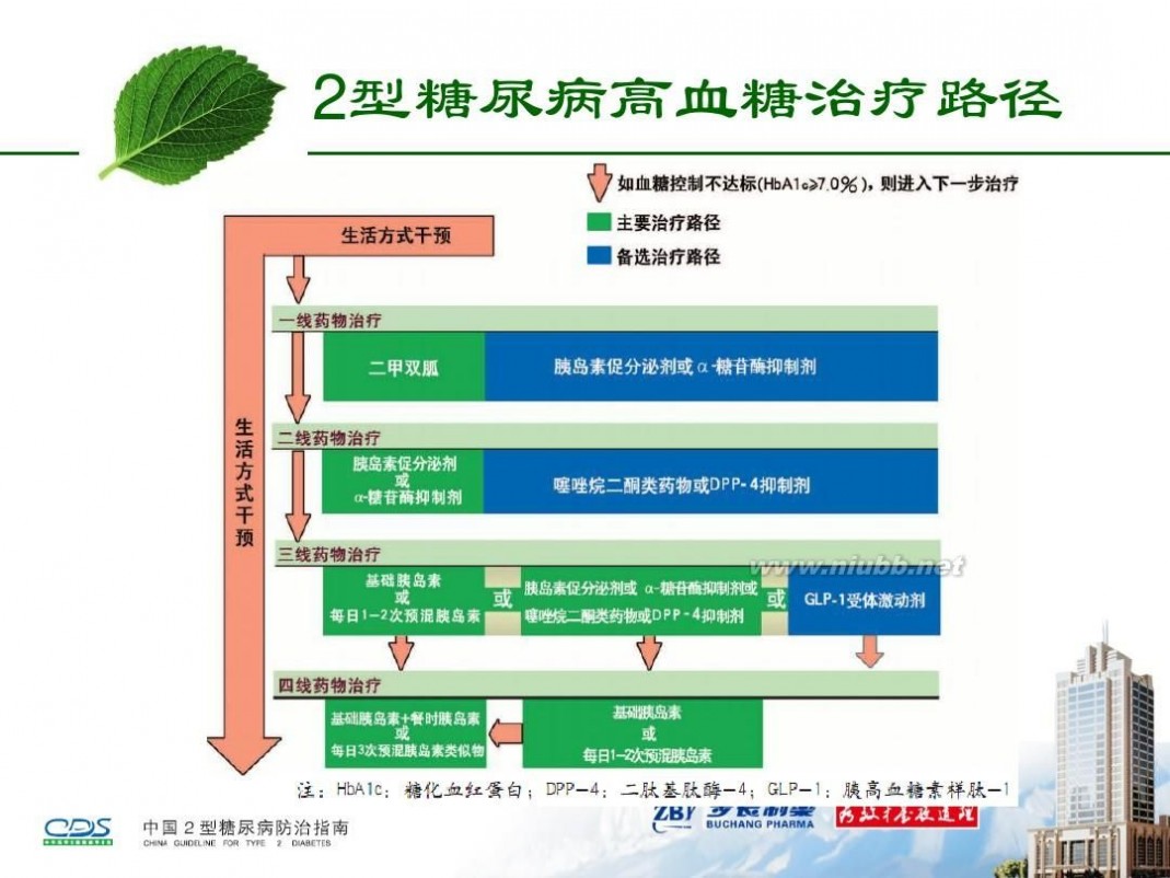 tm2012 2012-TM-01糖尿病基本知识