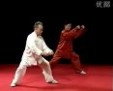 太极拳视频教程 中国太极拳视频教程大全226集