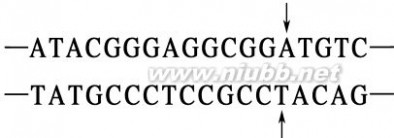 dna突变 基因突变、基因重组、染色体变异练习题