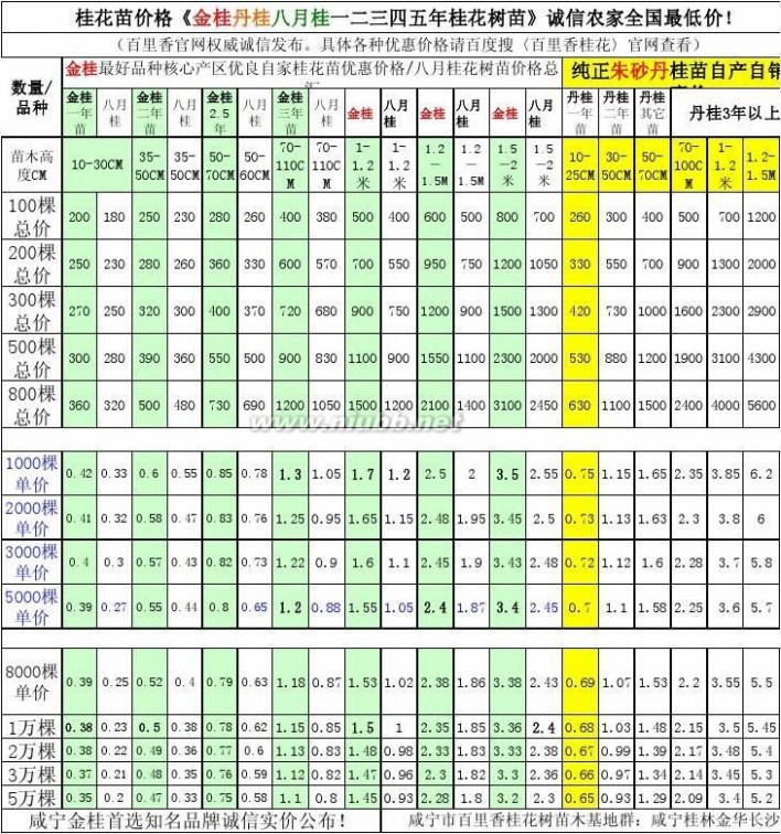 桂花苗 桂花苗价格总汇