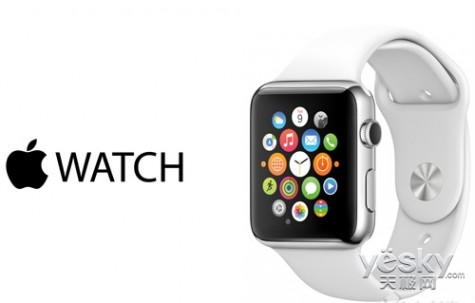 数据:Apple Watch占据6.8%的美国可穿戴市场