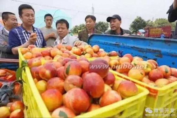 人人店 人人店助陕西果农卖出15吨滞销油桃
