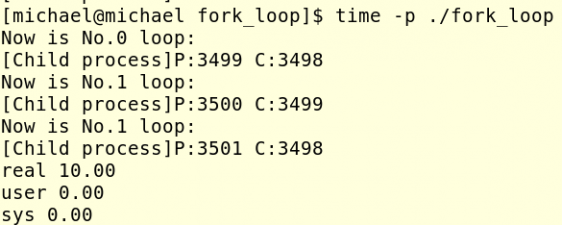 fork 关于fork函数中的内存复制和共享